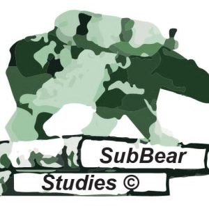 subbearstudies