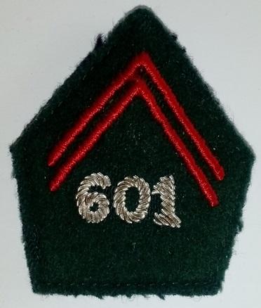 Patte de Col Officier